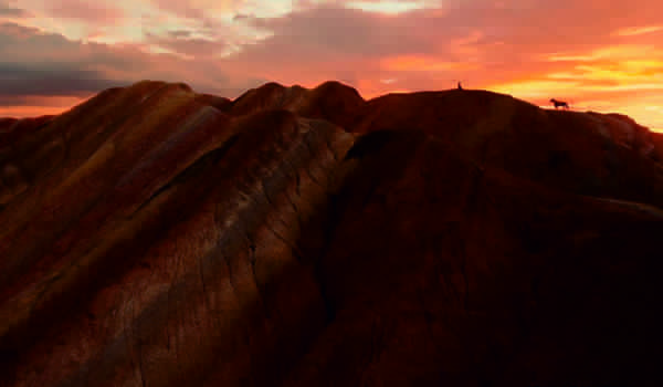 Kadr z filmu "Mulan" (2020)