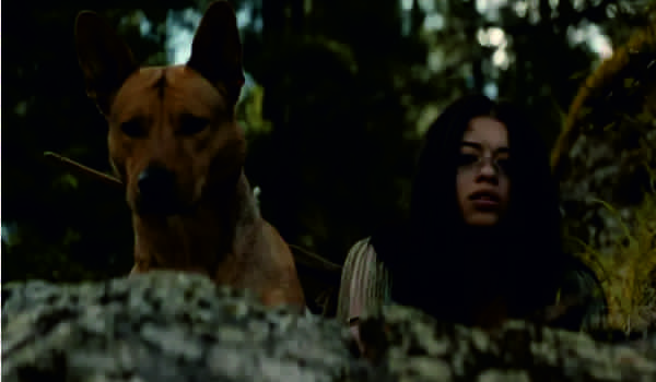Kadr z filmu "Prey"